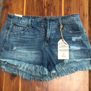 Vanilla Star Festival Shorts